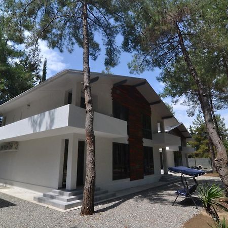 פיזונדה Hotel Apra מראה חיצוני תמונה